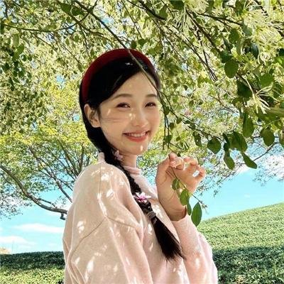 密探海芮：部落格大战